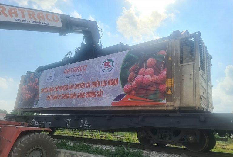 The first batch of Luc Ngan litchi shipped through Dong Dang railway station